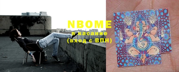 гашик Козловка