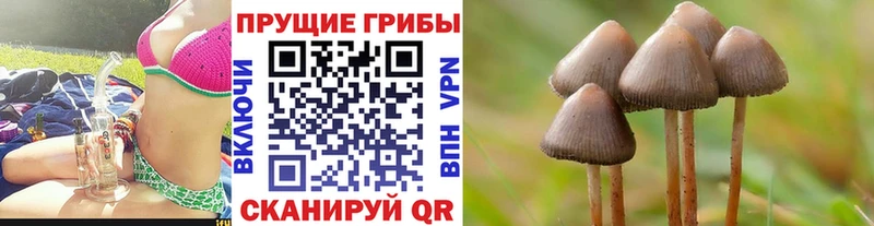 Купить закладки  Урень  Псилоцибиновые грибы Cubensis 