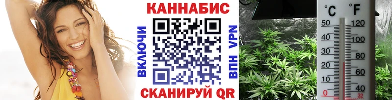 Канабис семена  Купить закладки  Урень 